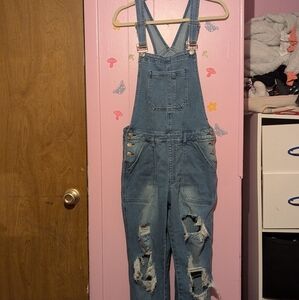 Rue 21 denim overalls